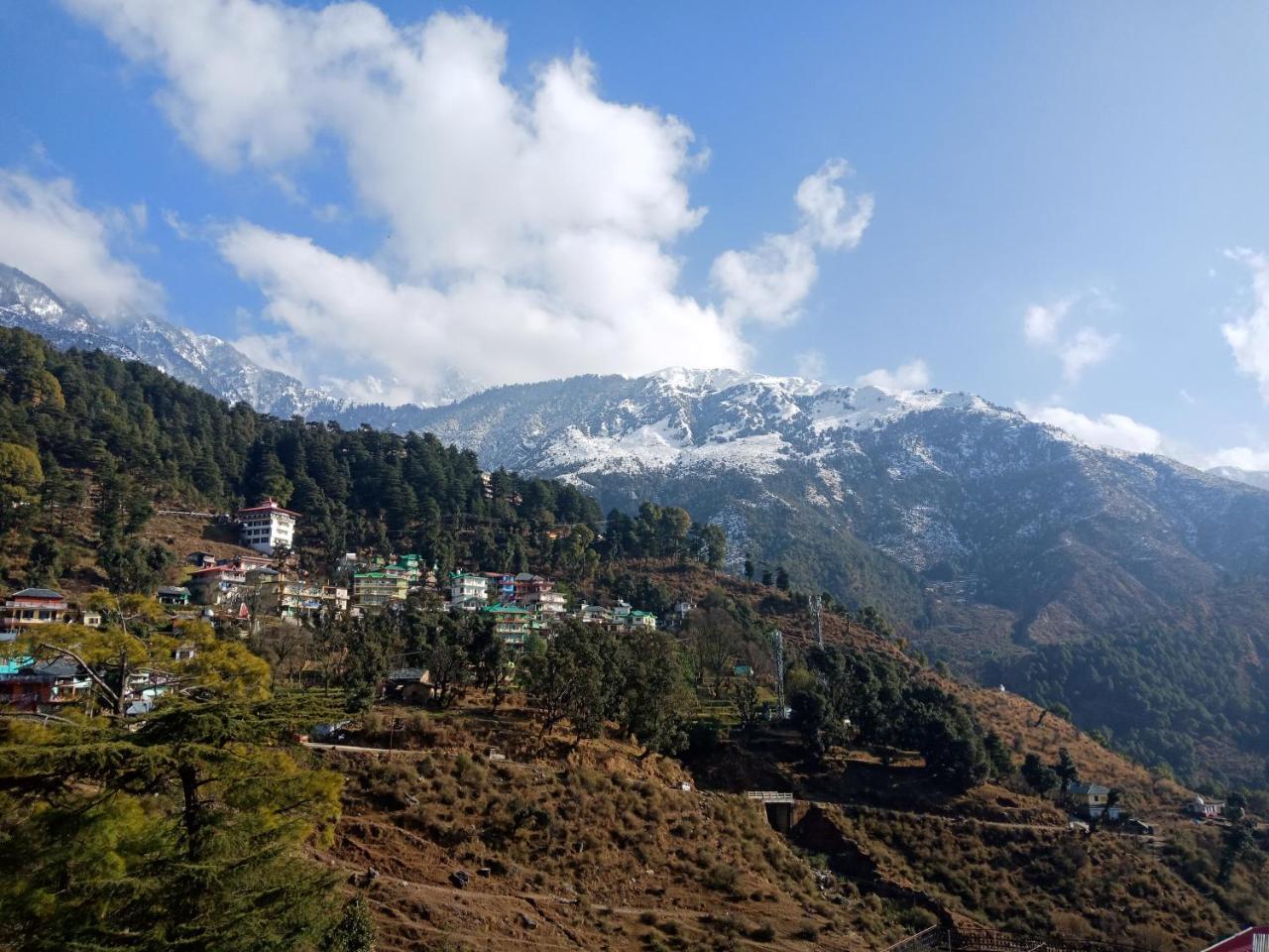 Hotel Pine Spring Dharamshala Exterior foto